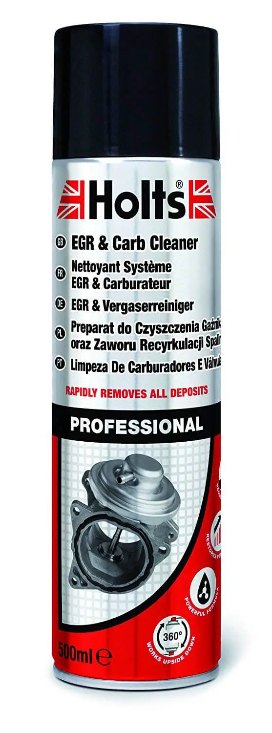 Holts EGR & Carb Cleaner